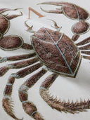 Yvan Tee | Off-white