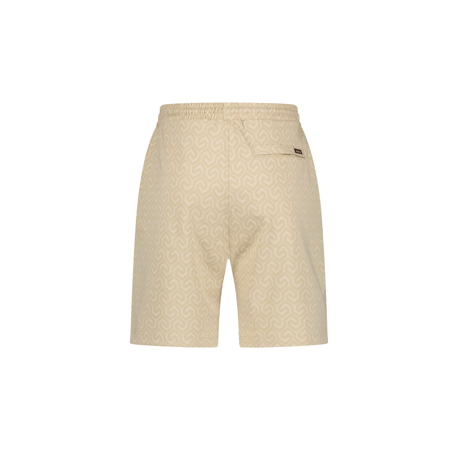 Vaughn Shorts | SAND AOP